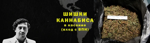 ПСИЛОЦИБИНОВЫЕ ГРИБЫ Арсеньев