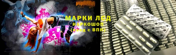 ГАЛЛЮЦИНОГЕННЫЕ ГРИБЫ Армянск